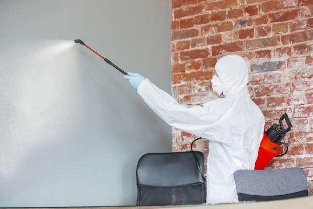Best Post-Remediation Verification Testing  in Highland, AR