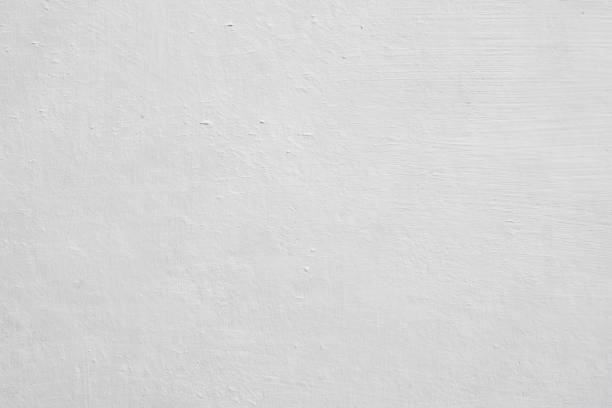 Mold Documentation for Insurance Claims in Highland, AR