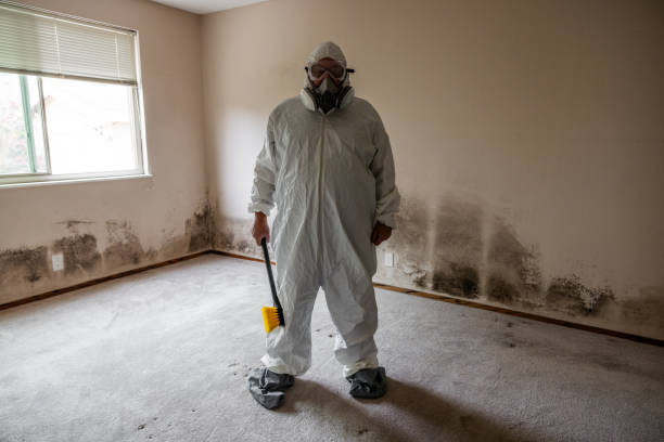 Best Mold Remediation for Vacation Homes  in Highland, AR